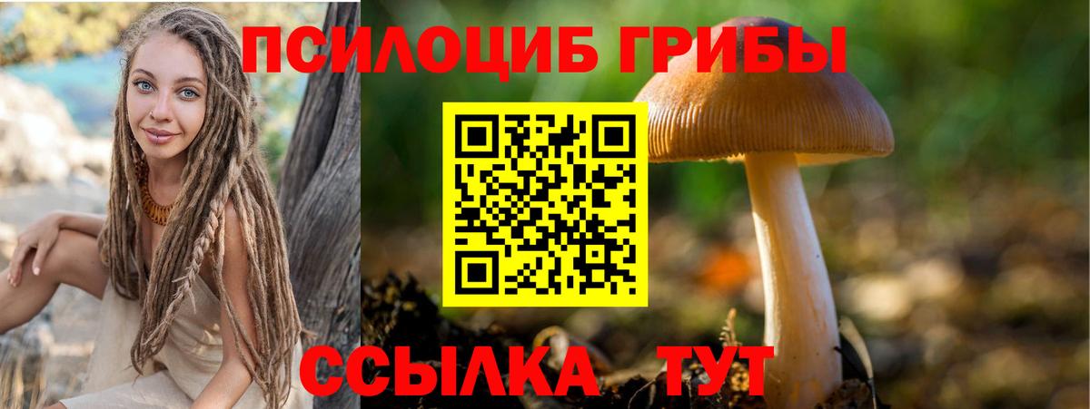 Комсомольск-на-Амуре  цена   Вход с VPN  Псилоцибиновые грибы мицелий 